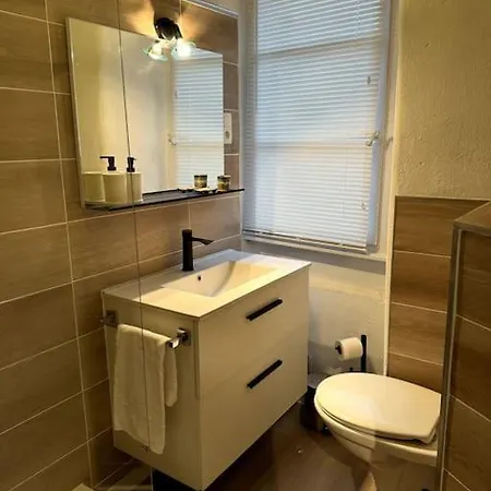 公寓 Schwendi - Le Petit Tanneur - En Hypercentre 科尔马