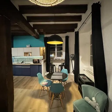 Schwendi - Le Petit Tanneur - En Hypercentre 科尔马