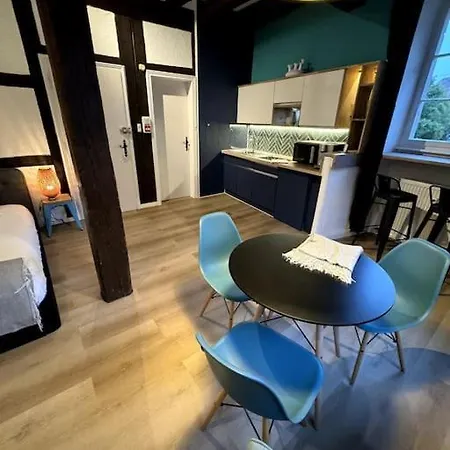 Schwendi - Le Petit Tanneur - En Hypercentre 科尔马