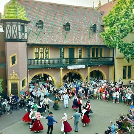 Schwendi - Le Petit Tanneur - En Hypercentre * Colmar