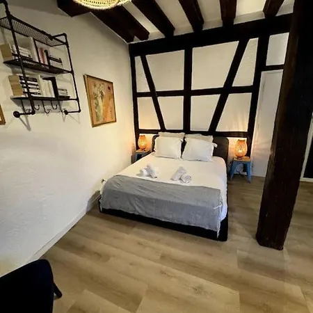 公寓 Schwendi - Le Petit Tanneur - En Hypercentre