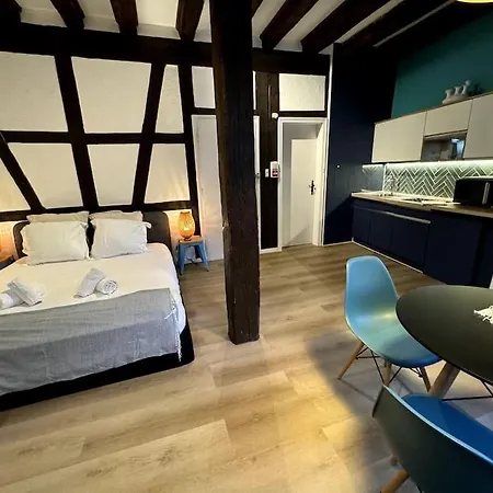 Schwendi - Le Petit Tanneur - En Hypercentre Apartment Colmar